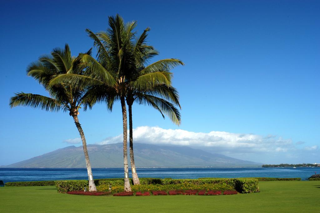 Kihei Surfside By Condominium Rentals Hawaii Makena Bilik gambar